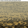 Discover Masai Mara and Serengeti Safari Tours with Lush Africa Safaris