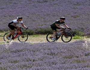 Why choose to organize a cycling holiday?