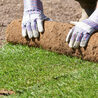 Transform Your Yard with Premium Kentucky Bluegrass Sod in Utah