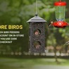 Offer Right Wild Bird Feed To Your Beautiful Backyard Visitors