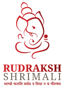 Top Astrologer in Jodhpur From Rudraksh shrimali