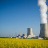 Top Strategies for Streamlining Nuclear Regulatory Support