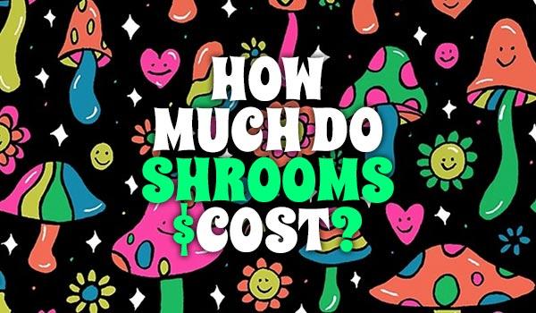﻿﻿Cost of Magic Mushrooms