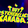  Create Better Buy Psychedelics Canada With The Help Of Your Dog