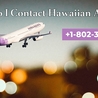 How Do i Talk to Hawaiian Airlines?