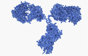 Anti-Chimeric Antigen Receptor Linker Antibodies for Streamlined CAR Detection