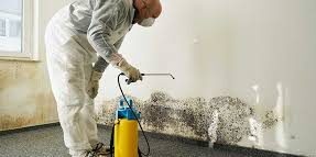 Mold Removal: A Comprehensive Guide