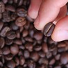  How to Buy Coffee Beans Online Without Breaking the Bank 