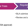 Comprehensive Vaccine Evaluation Services to Accelerate Antiviral Vaccine Development