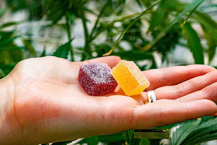 From Brownies to Gummies: The Evolution of Edibles in Canada