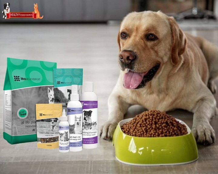 Where to Buy Healthy Pet Food at Best Prices