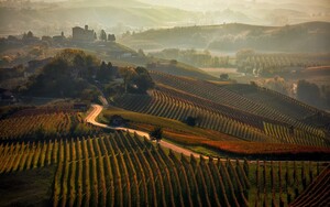 List of 10 Best Wines from Piedmont Italy