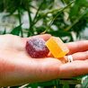 From Brownies to Gummies: The Evolution of Edibles in Canada