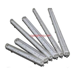 The Longevity Engineering Behind Cigelighting\u2019s Triproof Led Light Factory  