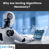 Why Are Sorting Algorithms Necessary?