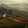 List of 10 Best Wines from Piedmont Italy