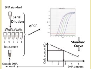 Host Cell DNA Assay Kits for Bioprocess Impurity Analysis