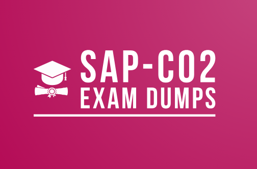 SAP-C02 Dumps questions and do your responsibility with this obliging
