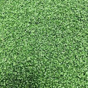 Eco Artificial Turf Factory Introduces Lawn Stain Removal Details