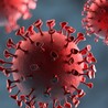 Amerigo Scientific Adds Viral Transport Medium CDC Protocol to Its Distribution List