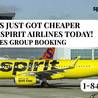 How to Save More with Spirit Airlines Group Booking