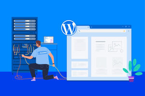 Wordpress Hosting Services By HostingerPro.com