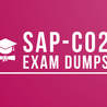 SAP-C02 Dumps questions and do your responsibility with this obliging
