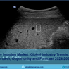 Elastography Imaging Market Report 2024 | Size, Share, Top Companies &amp; Forecast by 2032 \u2013 IMARC Group