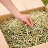 Hay Boxes in the UK with the Fresh Hay Grass