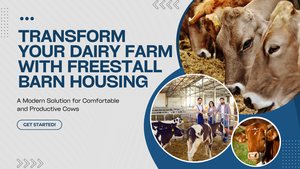 Transform Your Dairy Farm with Freestall Barn Housing 