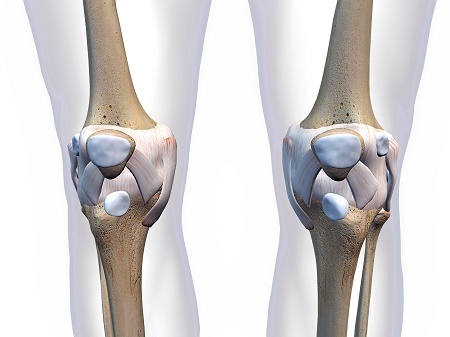 Knee Pain: Causes And Pain Treatment