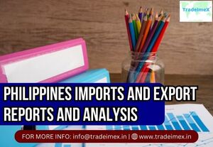What are the biggest Import goods of the Philippines?