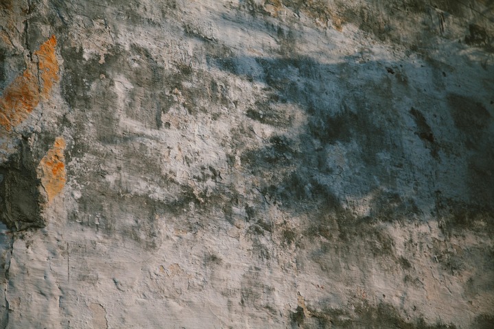 Reasons To Choose Venetian Plaster Walls For Your Home