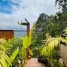 Luxe Glamp: The Ultimate Mountain View Staycation in Munnar for Couples
