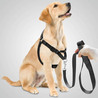 Best Dog Harnesses for Small Dogs