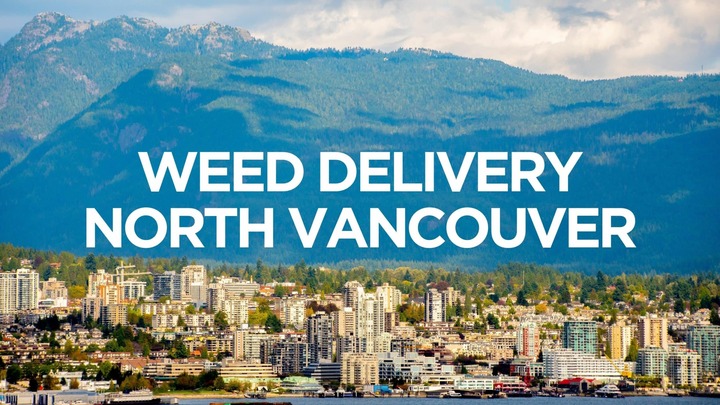 The Ins and Outs of Ordering Weed Online in North Vancouver