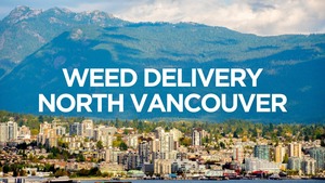 The Ins and Outs of Ordering Weed Online in North Vancouver