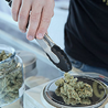 A Beginner&#039;s Guide to Buying Cannabis Online: How to Navigate an Online Dispensary