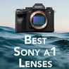 Unleashing Creativity: A Review of the Sony A1 and Its Cutting-Edge Technology