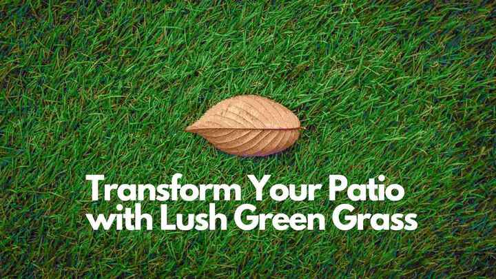 Transform Your Patio with Lush Green Grass