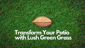 Transform Your Patio with Lush Green Grass