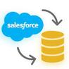 Salesforce Data Backup Solution: what it is, what it is for, and how to make a backup