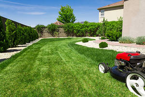 The Ultimate Guide to Lawn Care Services in Florida