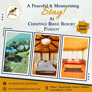 Resort in Pangot