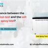 Difference Between The Immersion Test And The Salt Spray Test?