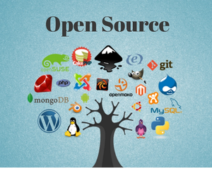 \&quot;Building Your Own Open Source Project: A Guide\&quot;