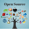 \&quot;Building Your Own Open Source Project: A Guide\&quot;