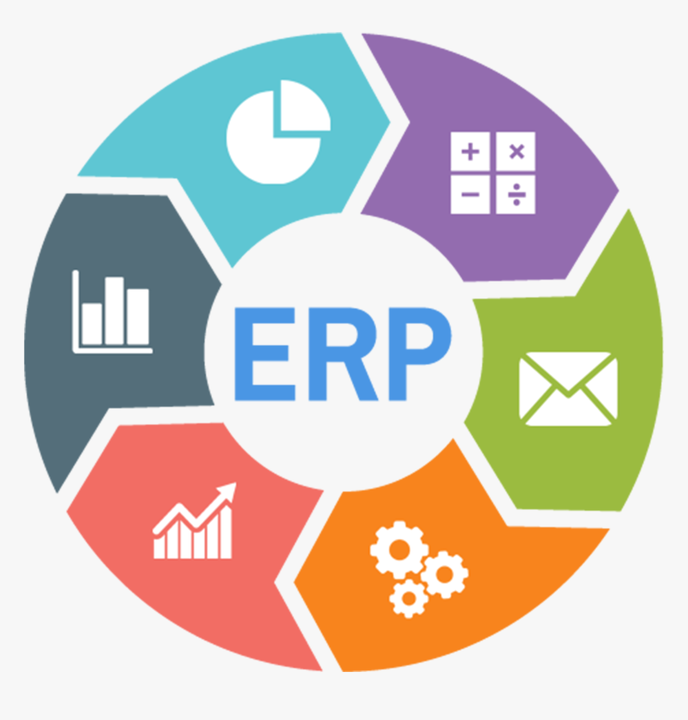 Affordable ERP software development in India