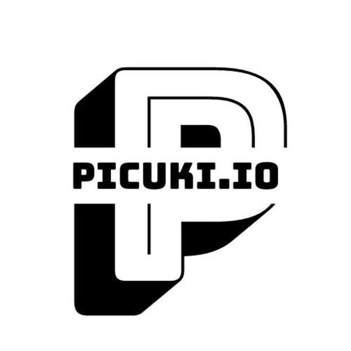 Picuki: A Strategic Imperative for Leveraging Instagram's Public Data Ecosystem