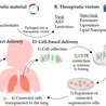 Gene Therapy for Cystic Fibrosis